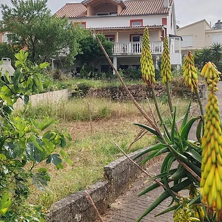 With Parking Space Zman, Dugi Otok - 449