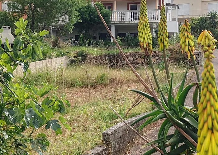 With Parking Space Zman, Dugi Otok - 449